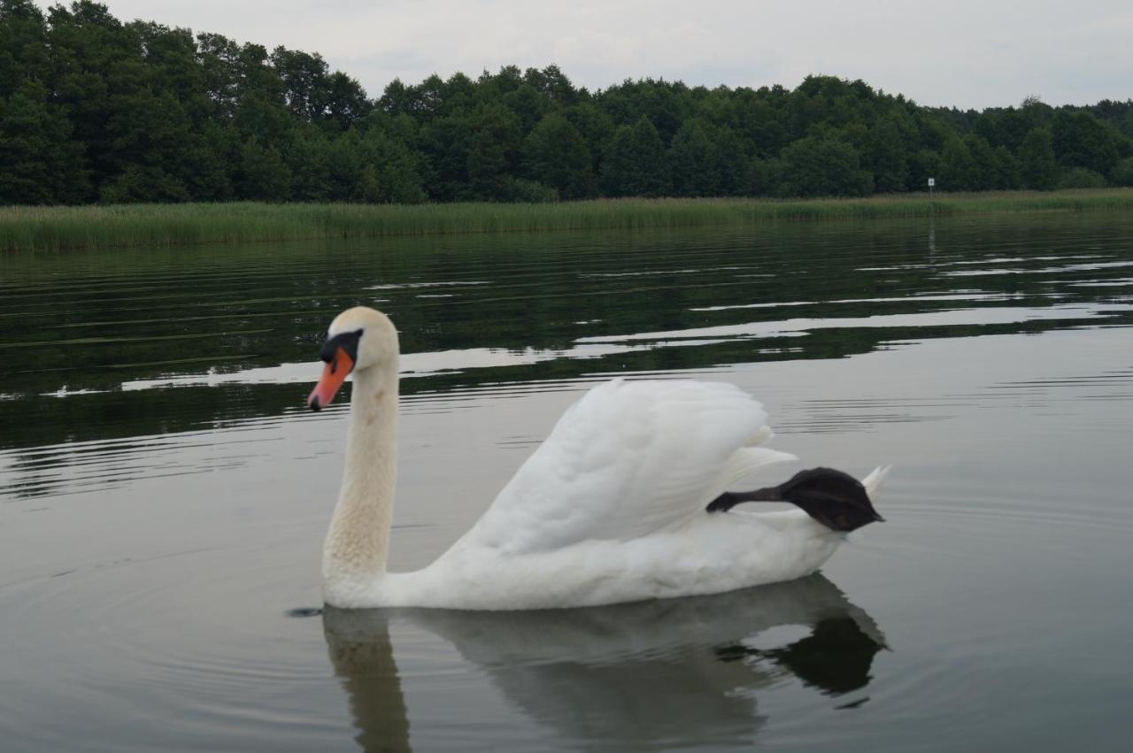 דירות סטורקאו Haus Am See מראה חיצוני תמונה